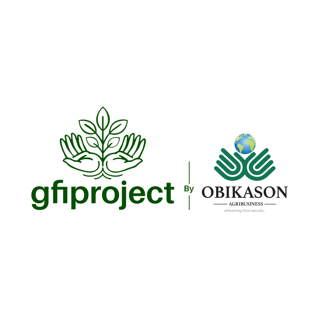 GFI & OBIKASON LOGO