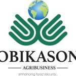 cropped-cropped-Obikason-Logo.jpg
